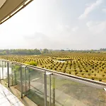 Glass House * Cuneo