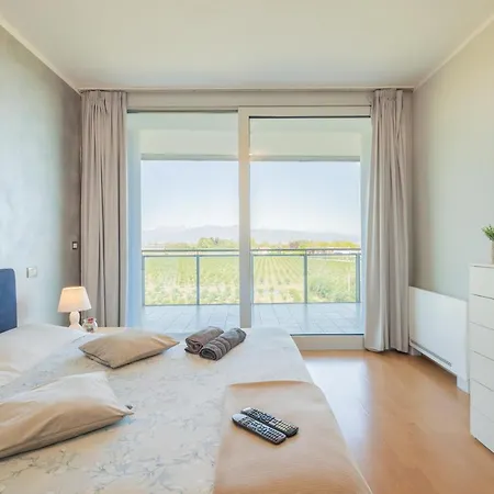 Glass House * קונאו